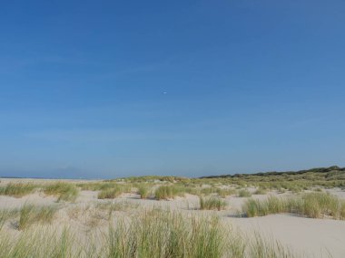 Alman kuzey denizindeki Juist Adası