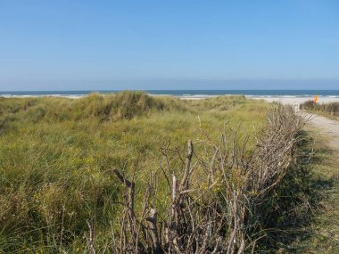 Alman kuzey denizindeki Juist Adası