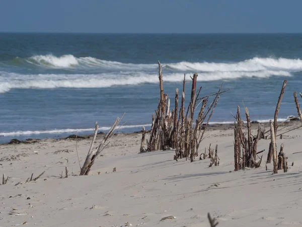 Alman kuzey denizindeki Juist Adası