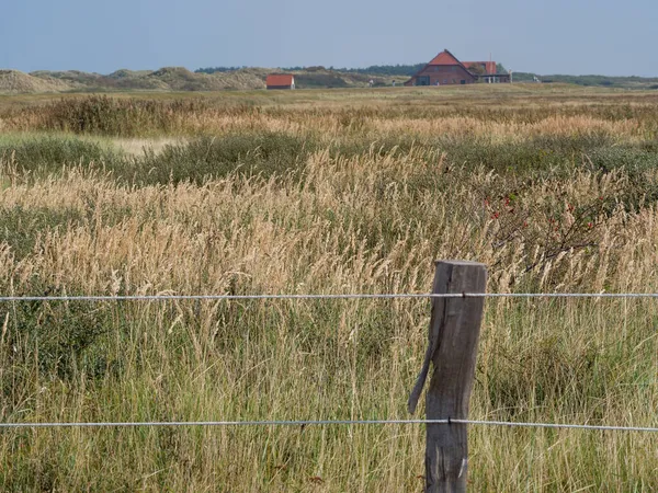 Alman kuzey denizindeki Juist Adası
