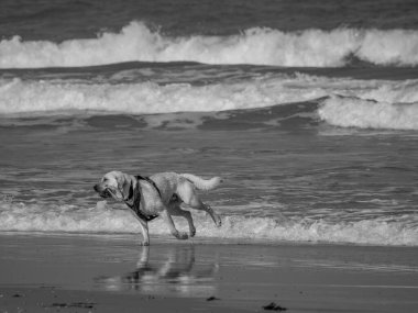 Alman kuzey denizindeki Juist Adası.