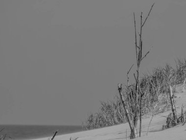 Alman kuzey denizindeki Juist Adası.