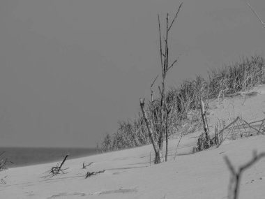 Alman kuzey denizindeki Juist Adası.