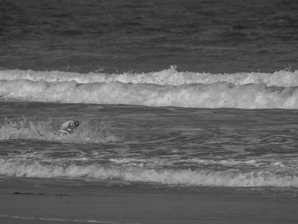 Het Eiland Juist Duitse Noordzee — Stockfoto