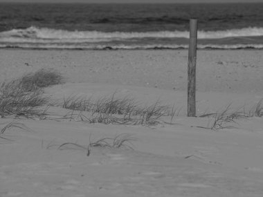 Alman kuzey denizindeki Juist Adası.