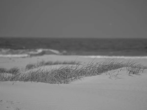 Isola Juist Nel Mare Del Nord Tedesco — Foto Stock