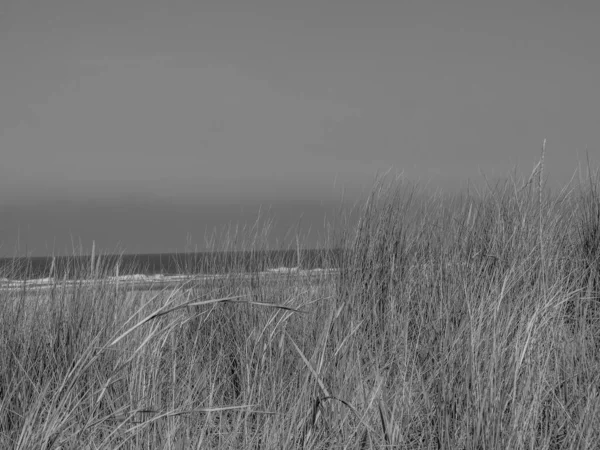 Île Juist Dans Mer Nord Allemande — Photo