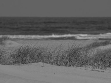 Alman kuzey denizindeki Juist Adası.