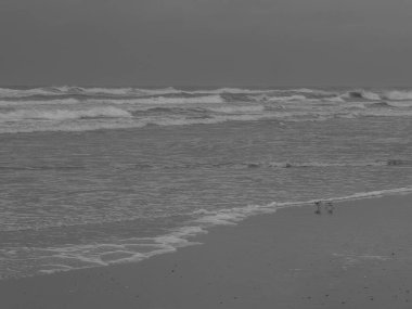 Alman kuzey denizindeki Juist Adası.