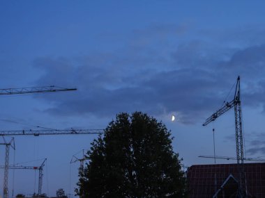 Akşamları turnalar