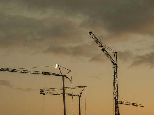 Cranes in the evening