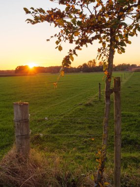 Borken yakınlarındaki Alman Muensterland 'inde günbatımı