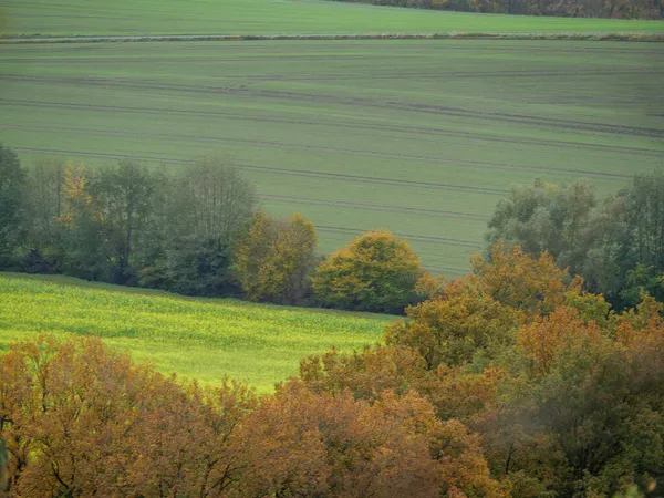 Wędrówki Teutoburger Wald Pobliżu Ibbenbueren — Zdjęcie stockowe