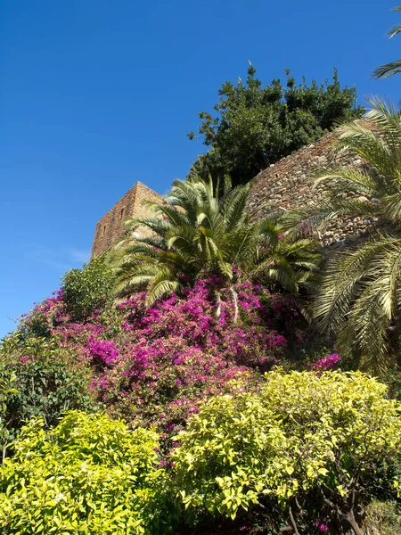 Akdeniz kıyısındaki İspanya 'nın Malaga kenti