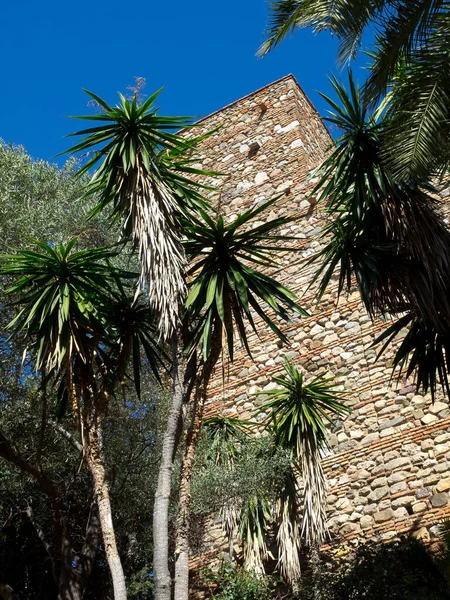 Akdeniz kıyısındaki İspanya 'nın Malaga kenti