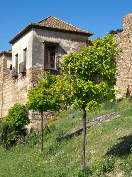 Akdeniz kıyısındaki İspanya 'nın Malaga kenti