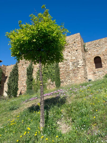 Akdeniz kıyısındaki İspanya 'nın Malaga kenti