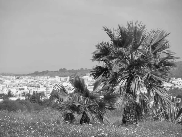 Ciudad Túnez Mar Mediterráneo — Foto de Stock