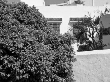 Akdeniz kıyısındaki Tunus şehri.