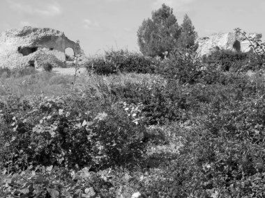 Akdeniz kıyısındaki Tunus şehri.