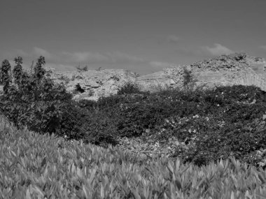 Akdeniz kıyısındaki Tunus şehri.