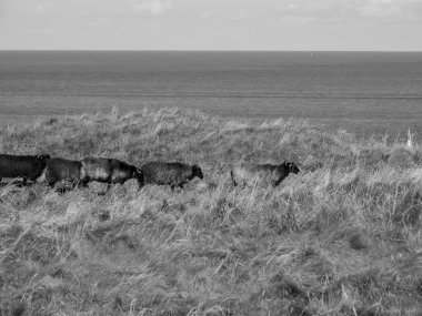 Alman kuzey denizindeki Helgoland Adası.