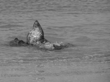 Alman kuzey denizindeki Helgoland Adası.