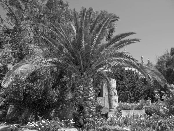 Staden Tunis Vid Medelhavet — Stockfoto