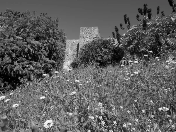 Akdeniz Kıyısındaki Spanya Nın Malaga Kenti — Stok fotoğraf