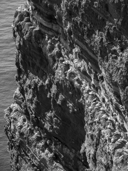 Острів Гельголанд Німецькому Північному Морі — стокове фото