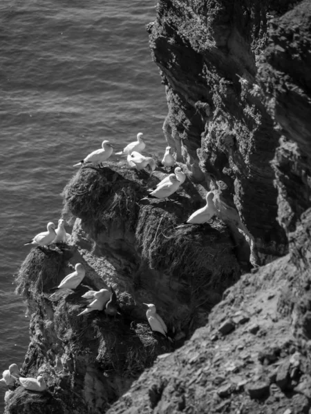 Island Helgoland German North Sea — Stock Photo, Image