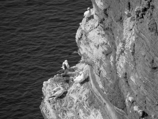 Острів Гельголанд Німецькому Північному Морі — стокове фото