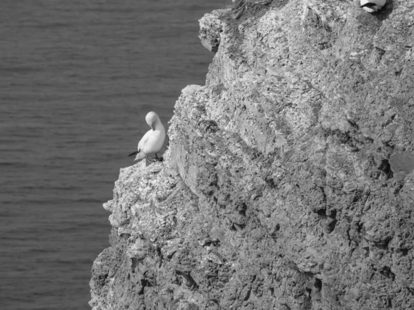 Остров Гельголанд Немецком Северном Море — стоковое фото