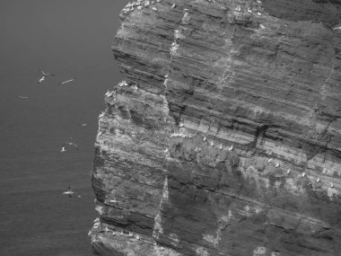 Alman kuzey denizindeki Helgoland Adası.