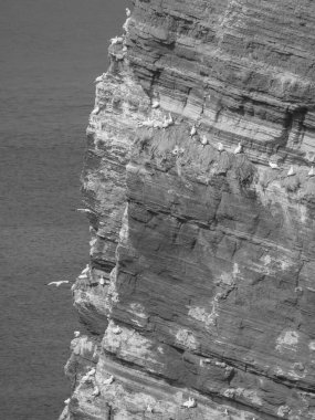 Alman kuzey denizindeki Helgoland Adası.