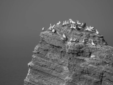 Alman kuzey denizindeki Helgoland Adası.