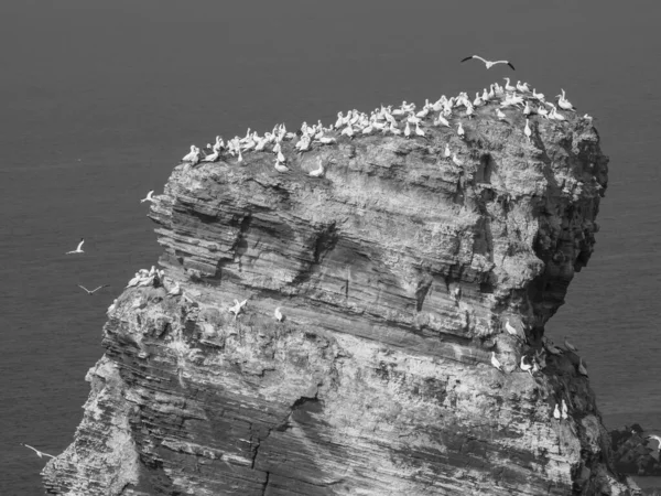 Alman kuzey denizindeki Helgoland Adası.