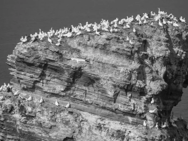 Isla Helgoland Mar Del Norte Alemán — Foto de Stock