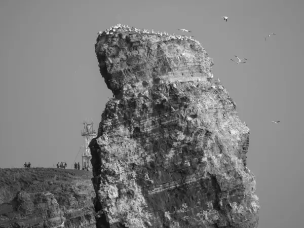 Ilha Helgoland Mar Alemão Norte — Fotografia de Stock