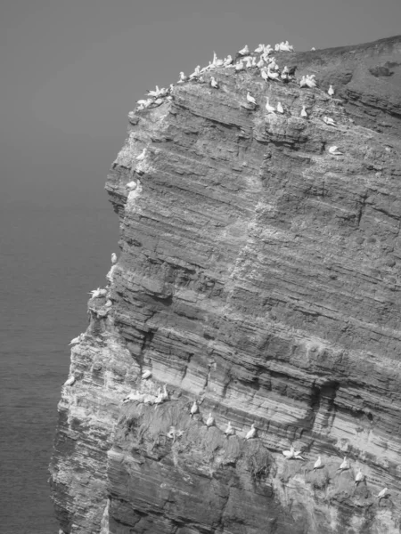 Alman kuzey denizindeki Helgoland Adası.