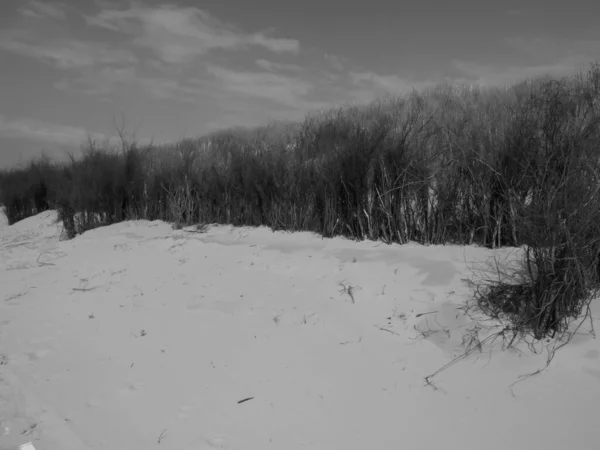 Het Strand Van Langeoog Duitsland — Stockfoto