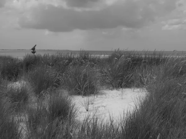 Der Strand Von Langeoog Deutschland — Stockfoto