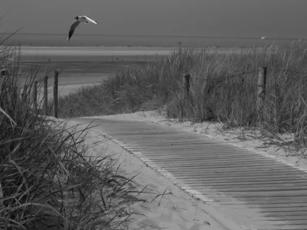 Pláž Langeoog Německu — Stock fotografie