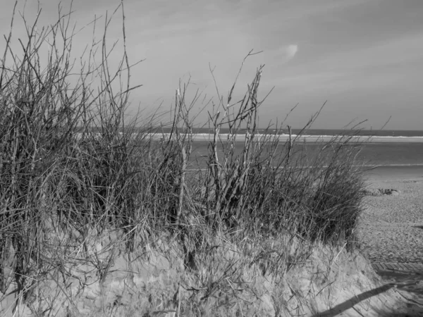 Praia Langeoog Alemanha — Fotografia de Stock