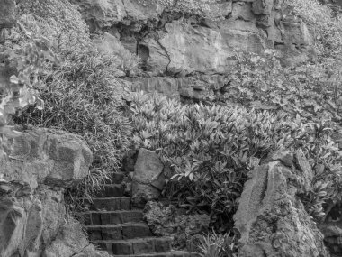 Lanzarote İspanyol Adası