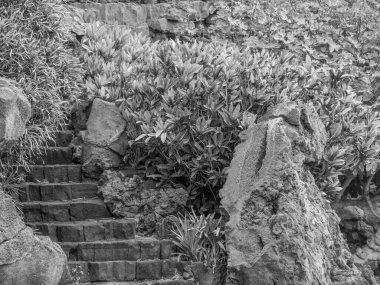 Lanzarote İspanyol Adası