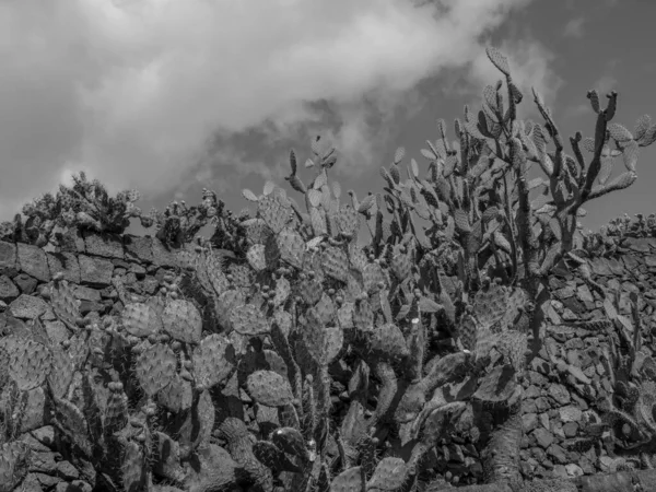 ランサローテ島のスペインの島 — ストック写真