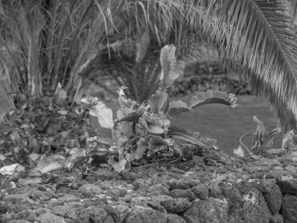 Ilha Espanhola Lanzarote — Fotografia de Stock