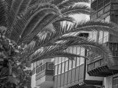 İspanyol la palma Adası