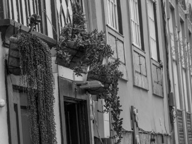 İspanyol la palma Adası